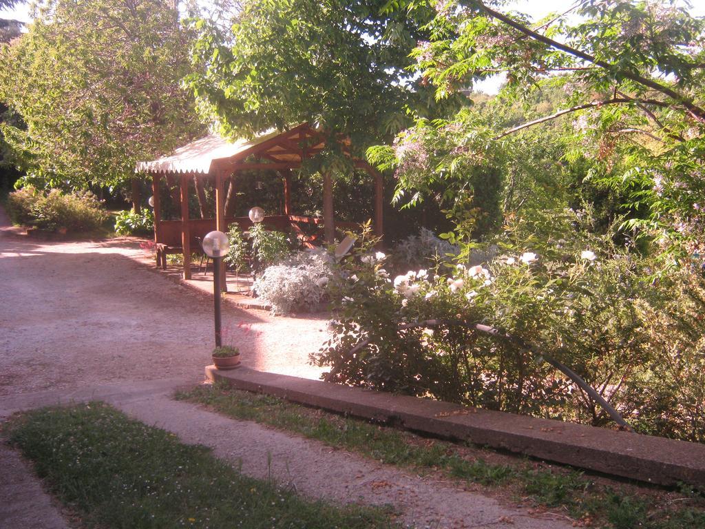 La Villa Di Lucia Viterbo Rum bild