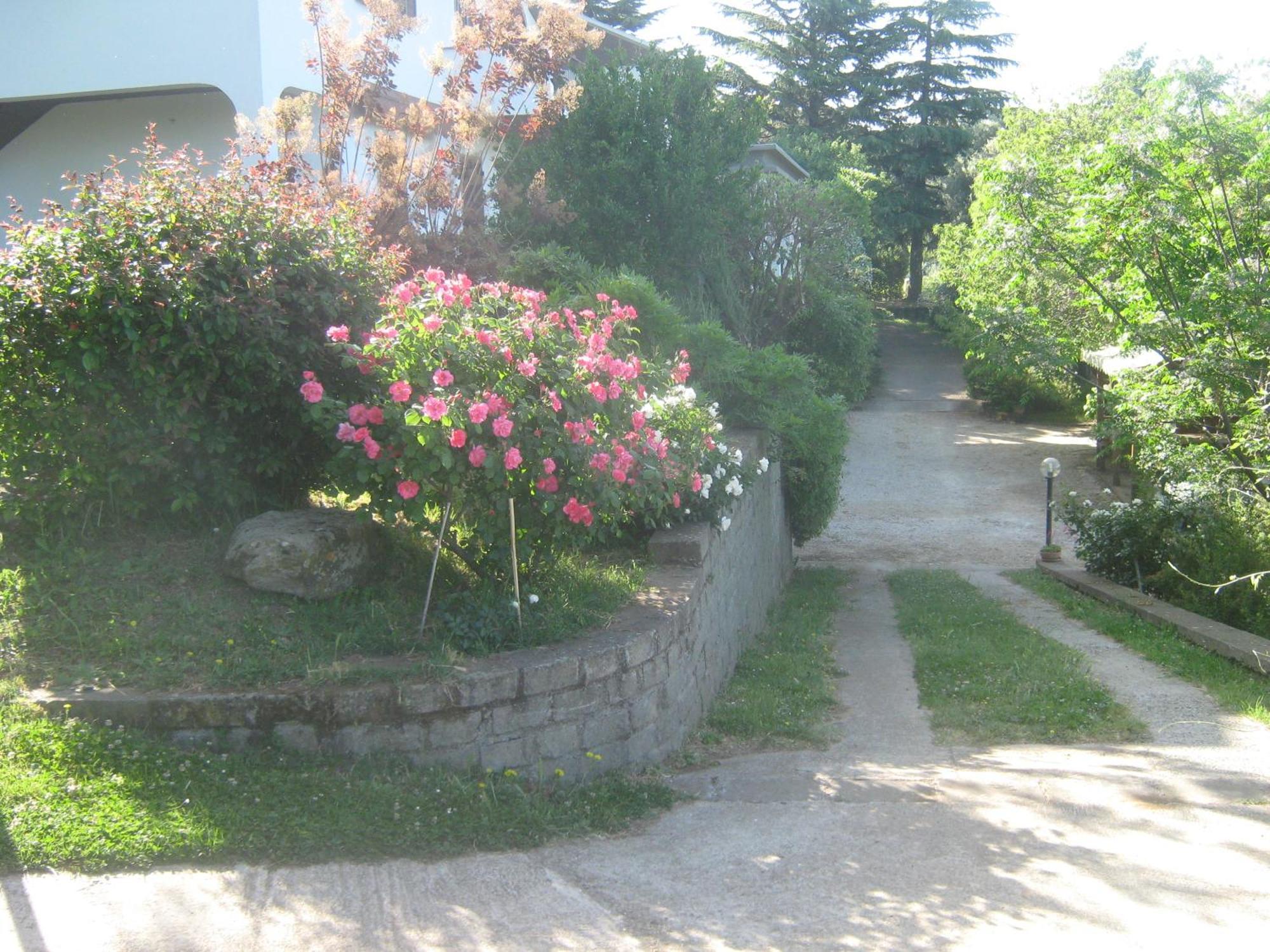 La Villa Di Lucia Viterbo Exteriör bild