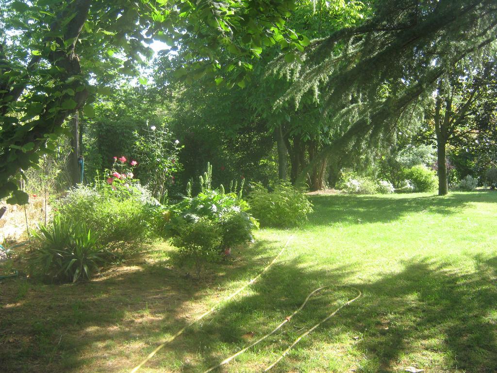 La Villa Di Lucia Viterbo Rum bild