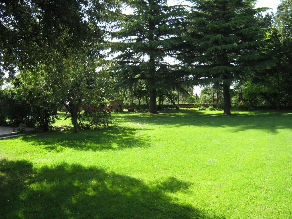 La Villa Di Lucia Viterbo Rum bild